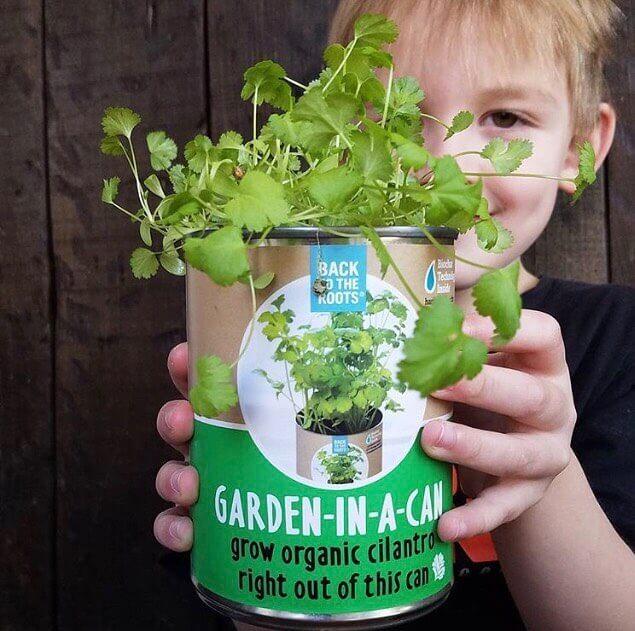 Summer Gardening Collection: 12 Kit Bundle (Herbs, Veggies, Mushrooms,  & Microgreens) - Image 9