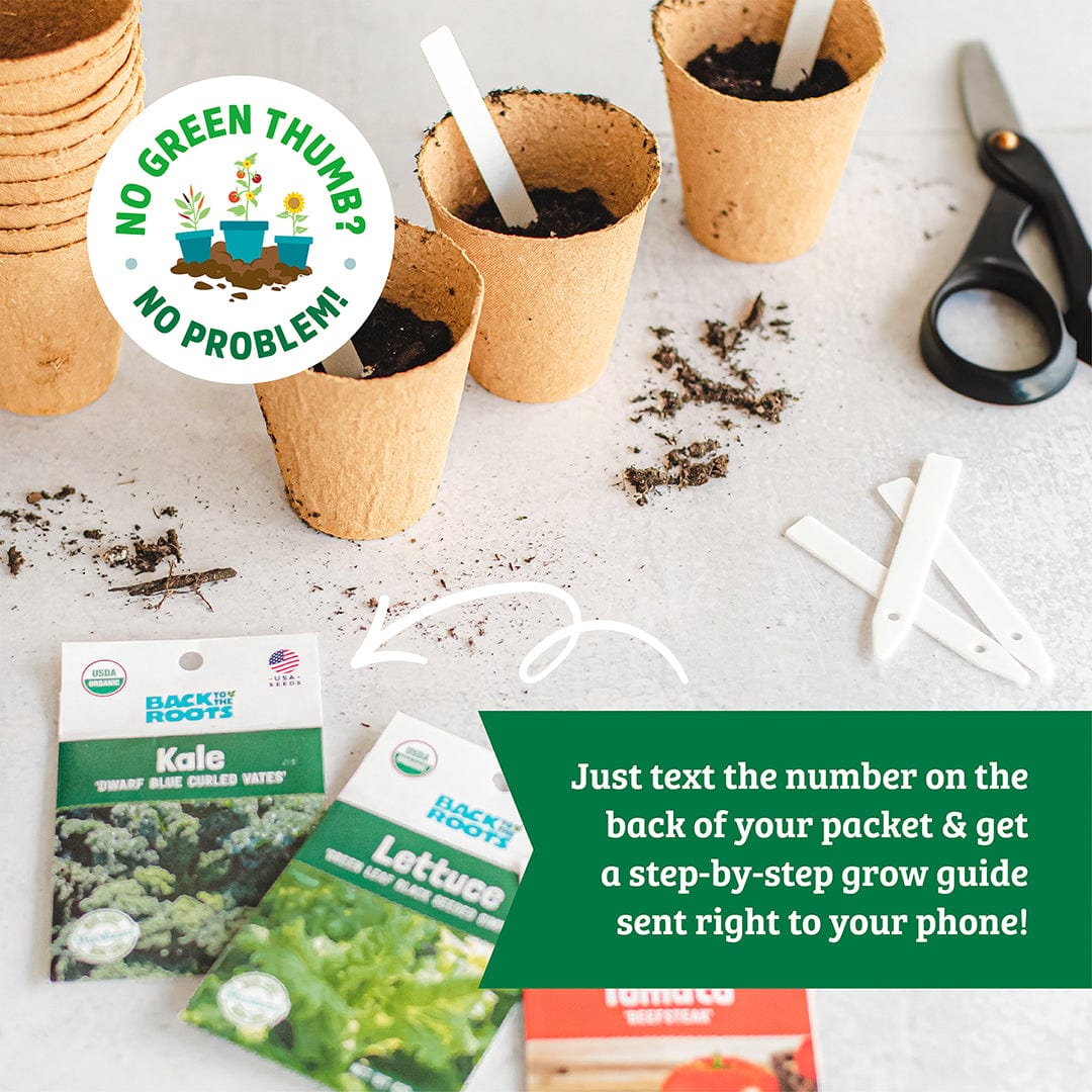 Leafy Greens Seeds 5-Pack Organic Seed Bundle - Image 3