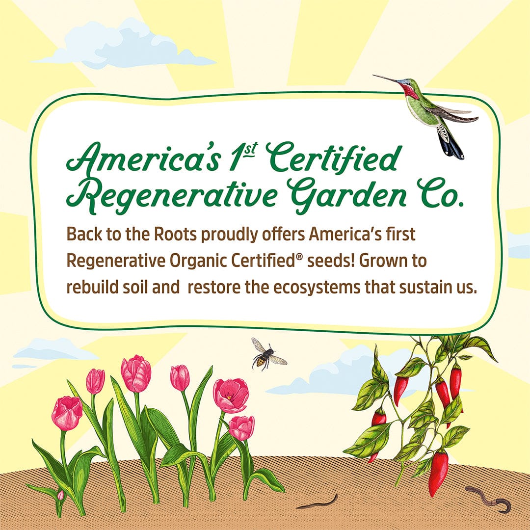 Regenerative Organic Certified® Nettle Seeds - Image 3
